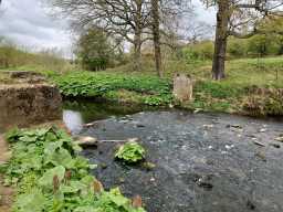 Ruined Bridge, Holliday Park, Durham Road, Langley Moor © DCC 25/04/2022